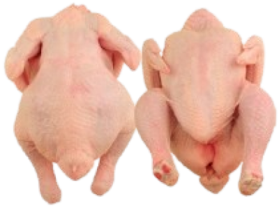 imagem de Frango Inteiro